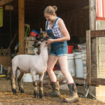 a girl and her sheep